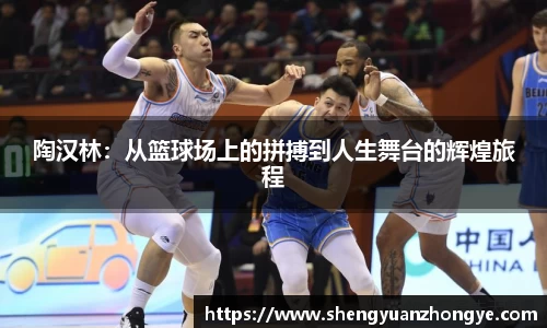陶汉林：从篮球场上的拼搏到人生舞台的辉煌旅程